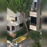 Maltepe haraketli anlar ciglik sesleri yukseldi kadina siddet iddiasina tasli cevap M4slLn2r