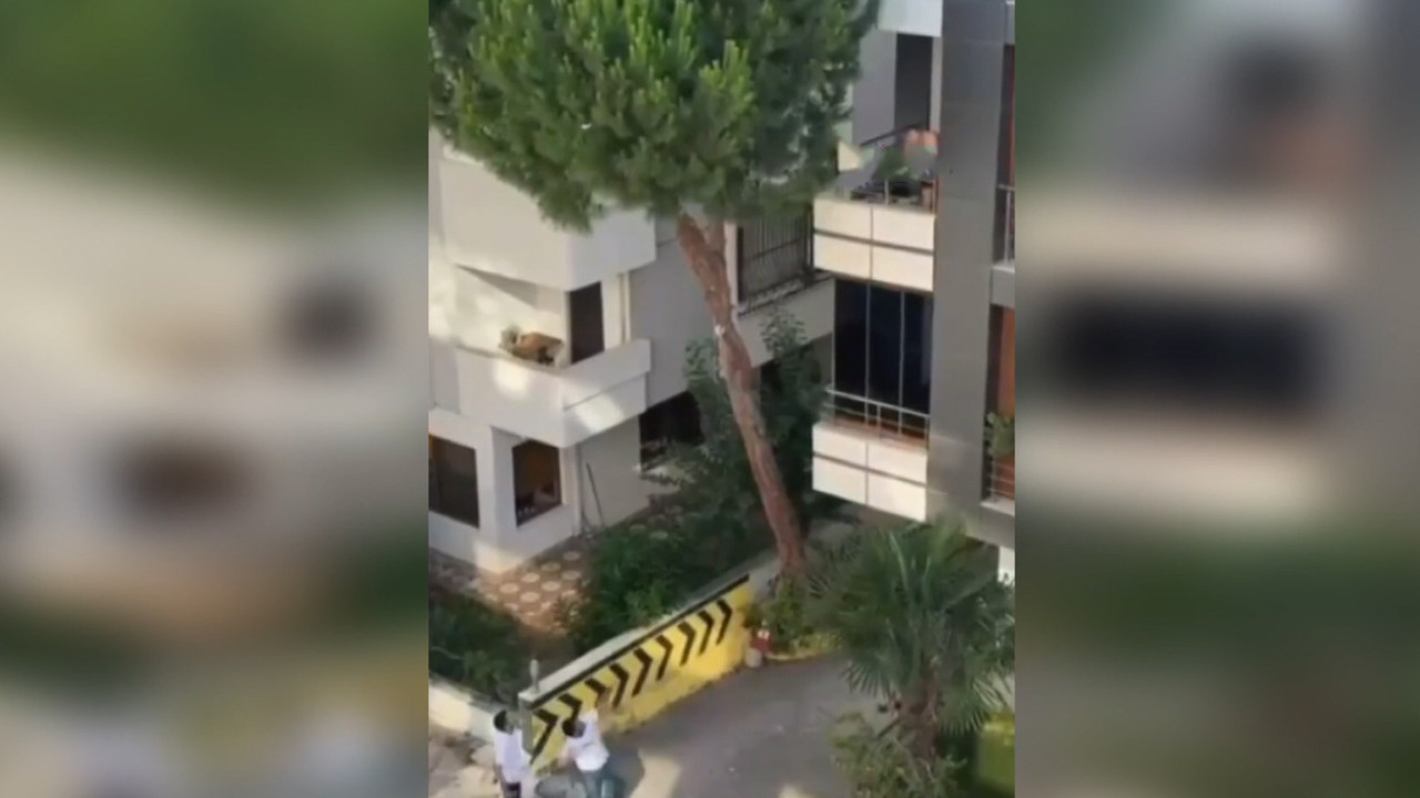 Maltepe haraketli anlar ciglik sesleri yukseldi kadina siddet iddiasina tasli cevap M4slLn2r